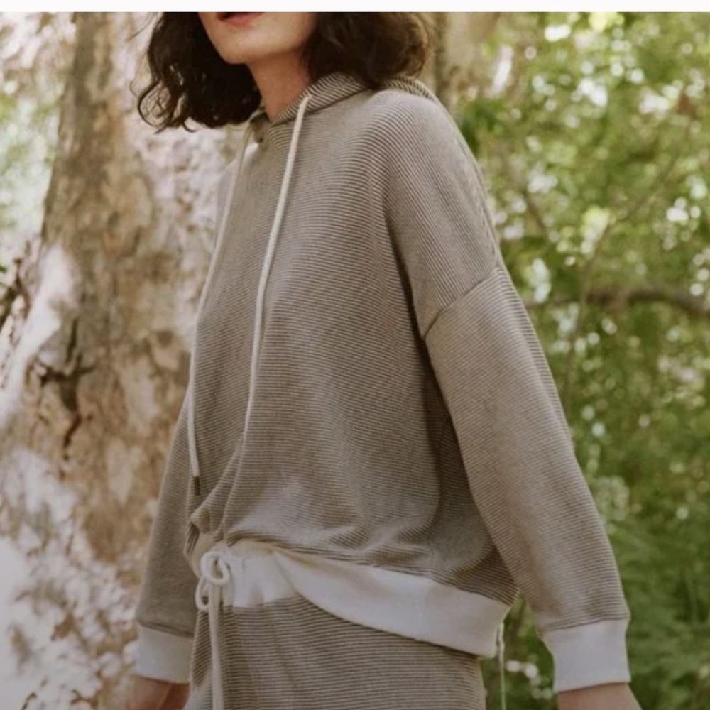 THE GREAT The Teammate Oversized Hoodie in Micro Cider Stripe Size 2 / Medium